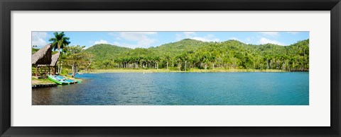 Framed Trees on a hill, Las Terrazas, Pinar Del Rio Province, Cuba Print