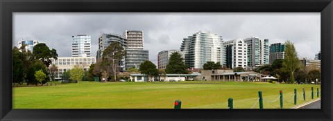 Framed Apartment buildings along Queens Road at edge of Albert Park Lake, Melbourne, Victoria, Australia Print