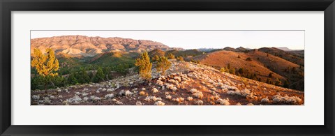 Framed Arkaba Station at sunset, Flinders Ranges, South Australia, Australia Print