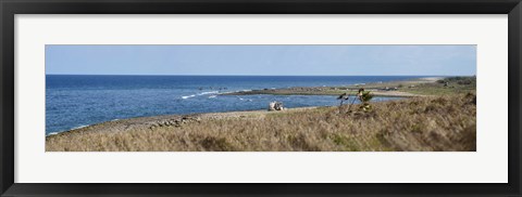 Framed Grass on the beach, Havana, Cuba Print