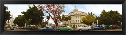 Framed Vintage cars parked on a street, Havana, Cuba Print