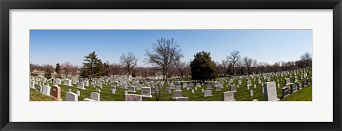 Framed Tombstones in a cemetery, Arlington National Cemetery, Arlington, Virginia, USA Print