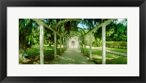 Framed Pathway in a botanical garden, Jardim Botanico, Zona Sul, Rio de Janeiro, Brazil Print