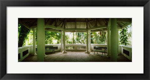 Framed Canopy in the botanical garden, Jardim Botanico, Zona Sul, Rio de Janeiro, Brazil Print