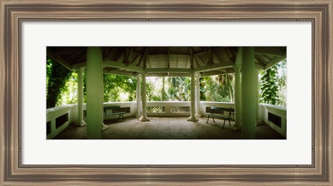 Framed Canopy in the botanical garden, Jardim Botanico, Zona Sul, Rio de Janeiro, Brazil Print