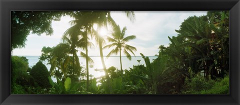 Framed Palm trees in the forest at coast, Morro De Sao Paulo, Tinhare, Cairu, Bahia, Brazil Print