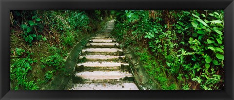 Framed Steps leading to a lighthouse, Morro De Sao Paulo, Tinhare, Cairu, Bahia, Brazil Print