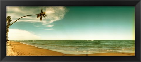 Framed Single leaning palm tree on the beach, Morro De Sao Paulo, Tinhare, Cairu, Bahia, Brazil Print