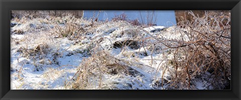 Framed Snow covered hill, Saint-Blaise-sur-Richelieu, Quebec, Canada Print