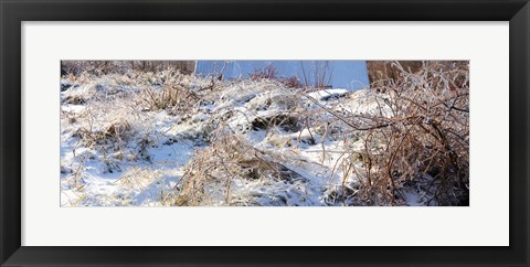 Framed Snow covered hill, Saint-Blaise-sur-Richelieu, Quebec, Canada Print