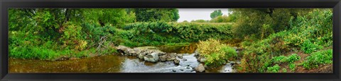 Framed River flowing through a forest, Acadia River, Quebec, Canada Print