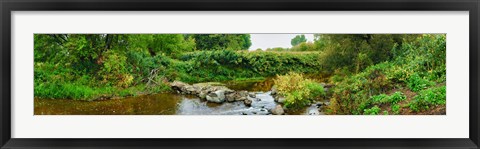 Framed River flowing through a forest, Acadia River, Quebec, Canada Print