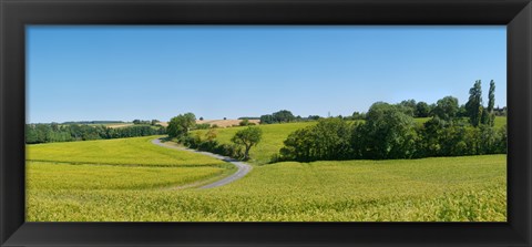 Framed Dirt road passing through a flax field, Loire-et-Cher, Loire Valley, France Print