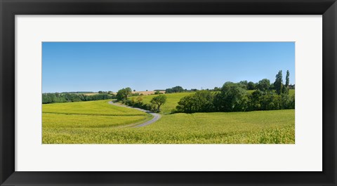 Framed Dirt road passing through a flax field, Loire-et-Cher, Loire Valley, France Print