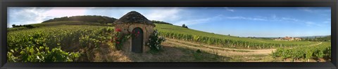 Framed Beaujolais vineyard, Saules, Saone-Et-Loire, Burgundy, France Print