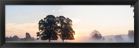 Framed Trees at sunrise, USK Valley, South Wales, Wales Print