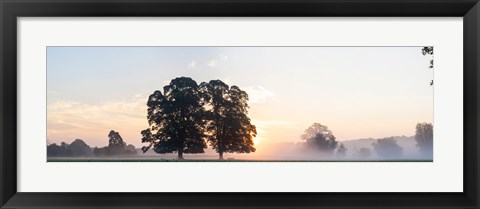 Framed Trees at sunrise, USK Valley, South Wales, Wales Print