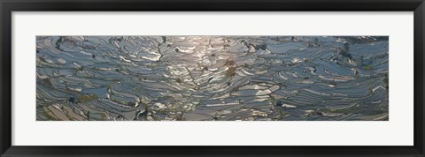 Framed High angle view of water filled rice paddy, Yuanyang County, Honghe Prefecture, Yunnan Province, China Print