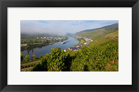 Framed Vineyards with village at riverfront, Mosel River, Kaimt Mosel Village, Mosel Valley, Rhineland-Palatinate, Germany Print