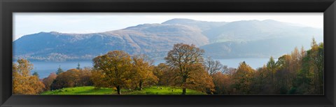 Framed Autumn trees with mountains in background, Derwent Water, Lake District National Park, Cumbria, England Print