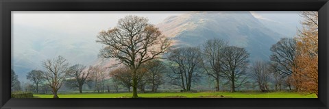 Framed Autumn trees with mountain in the background, Langdale, Lake District National Park, Cumbria, England Print