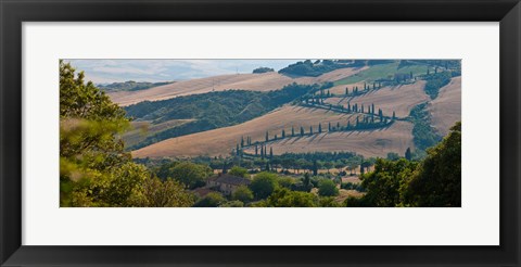 Framed High angle view of winding road in valley, Tuscany, Italy Print