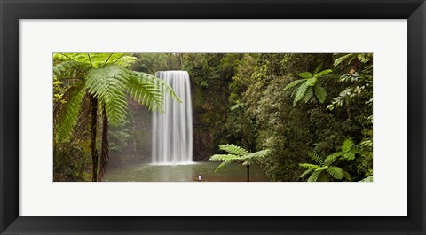 Framed Waterfall in a forest, Millaa Millaa Falls, Atherton Tableland, Queensland, Australia Print