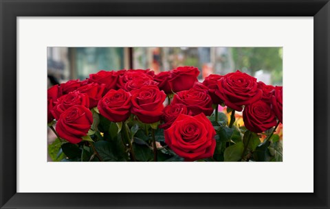 Framed Close-up of red roses in a bouquet during Sant Jordi Festival, Barcelona, Catalonia, Spain Print