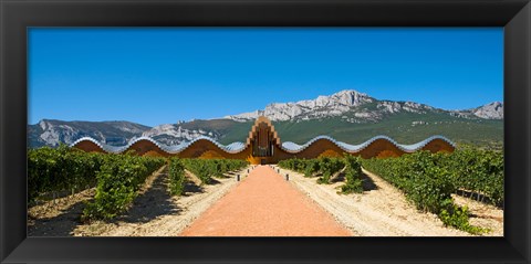 Framed Bodegas Ysios winery building and vineyard, La Rioja, Spain Print