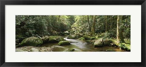 Framed Roaring Fork River, Great Smoky Mountains, Tennessee Print