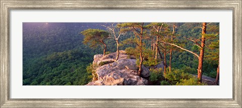 Framed Trees on a mountain, Buzzards&#39; Roost Fall Creek Falls State Park, Pikeville, Bledsoe County, Tennessee, USA Print