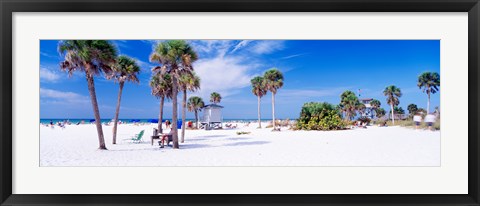 Framed Palm trees on the beach, Siesta Key, Gulf of Mexico, Florida, USA Print