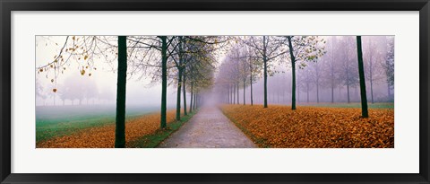 Framed Autumn in Schleissheim Bavaria Germany Print