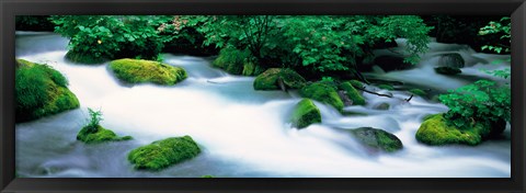 Framed Fog in Oirase ravine Aomori Towadako-cho Japan Print