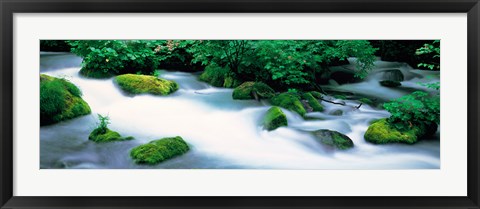 Framed Fog in Oirase ravine Aomori Towadako-cho Japan Print