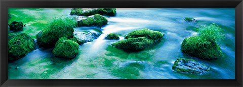 Framed Rocks with Moss, Oirase ravine Aomori Towadako-cho Japan Print