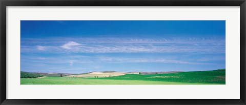 Framed Farm Audausia Cordoba vicinity Spain Print