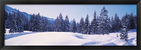 Framed Snowy Field &amp; Trees Oberjoch Germany Print