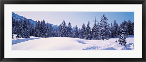 Framed Snowy Field &amp; Trees Oberjoch Germany Print