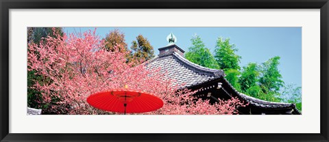 Framed Daikaku-Ji Kyoto Japan Print