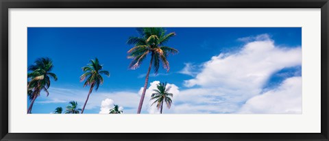 Framed Palm trees Miami FL USA Print