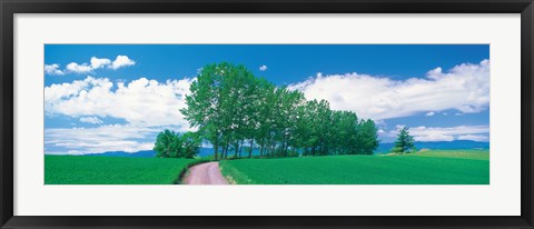 Framed Dirt Road through Fields, Biei-Cho Hokkaido Japan Print