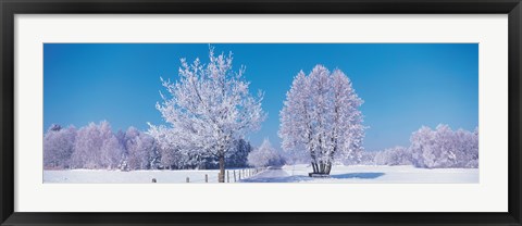 Framed Winter scenic Germany Print