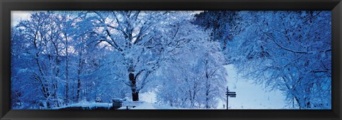 Framed Snow Covered Trees, Ramsau Germany Print