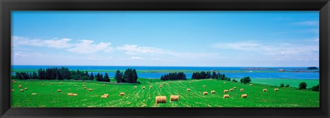 Framed Farm field Prince Isl Canada Print