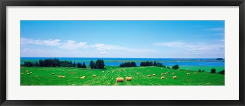 Framed Farm field Prince Isl Canada Print