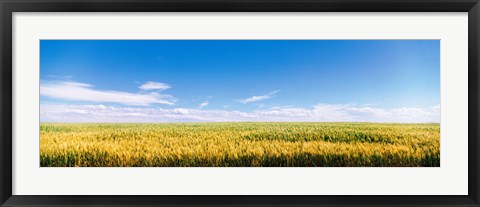 Framed Farm field Twin Falls ID USA Print