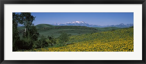 Framed Fields Humboldt National Forest NV USA Print