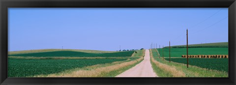 Framed Road along fields, Minnesota, USA Print