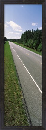 Framed Trees along the road, Alabama State Route 113, Alabama, USA Print